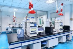 標(biāo)準(zhǔn)的p2實(shí)驗(yàn)室設(shè)計(jì)布局-p2實(shí)驗(yàn)室建設(shè)規(guī)劃